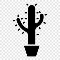 prickly, spine, spines, thorny icon svg