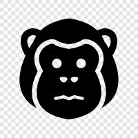 primate, monkey, human, behavior icon svg