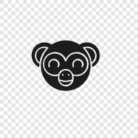 primates, monkey wrench, simian, ape icon svg