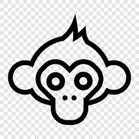 primates, human face, expression, emotions icon svg