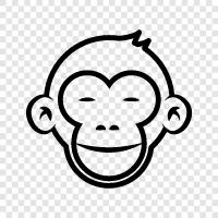 primates, baboon, macaque, gibbon icon svg