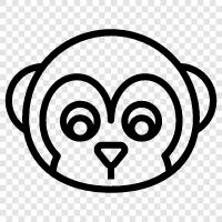 primates, baboon, macaque, chimpanzees icon svg