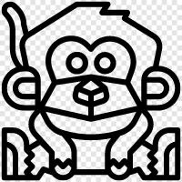 primates, baboon, macaque, baboon monkey icon svg