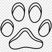 print, footprint, animal print, felines icon svg