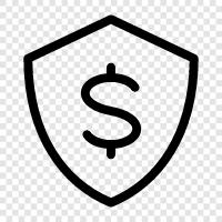 profit secured, security profit, profit protection, risk management icon svg