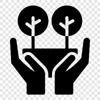 protect forest, conservation, trees, save forest icon svg