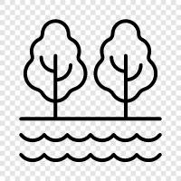 public, green, trees, nature icon svg