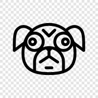 Pug köpek, Pug yavruları, Pug Breed, Pug Breeders ikon svg