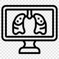 pulmonary function, lungs, breathing, lung cancer icon svg
