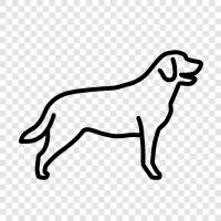 puppies, dog breeds, dog training, dog toys icon svg