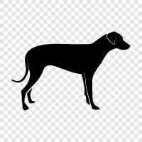puppies, dog training, dog breeds, dog food icon svg