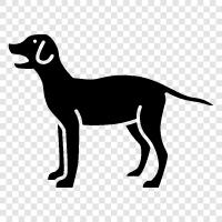 puppies, dog breeds, dog training, dog food icon svg