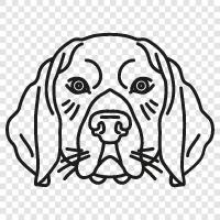 Puppy, Cocker Spaniel, Labrador Retriever, Golden Ret icon svg