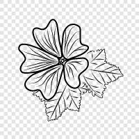 lila Blüten, Wildblumen, Prärie, Natur symbol