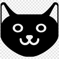 purr, cute, cuddly, house icon svg