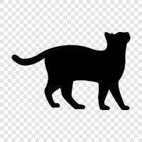 purr, scratching post, house, cute icon svg