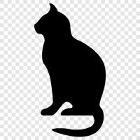 purr, meow, adopt, house icon svg