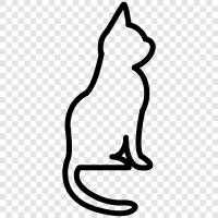 purring, adopt, house, meow icon svg