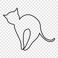 purring, house cat, feline, pet icon svg