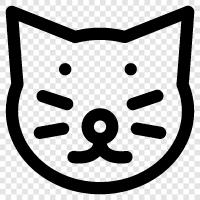 purring, housecat, fluffy, cuddly icon svg