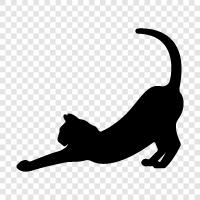 purring, domestic, pet, house icon svg