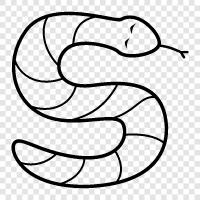 Python, Schlangenöl, PythonProgrammierung, Schlangenölverkäufer symbol