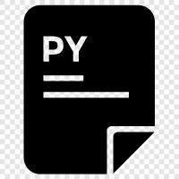 Python, File, Data, File Format icon svg