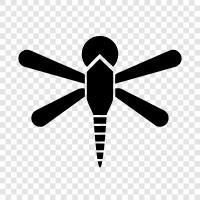 quadcopter, drone, helicopter, flying machine icon svg