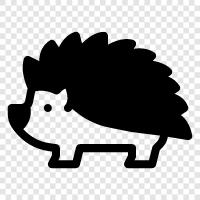 quills, spines, hedgehogs, cute ikon svg