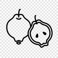 quince fruit, quince jelly, quince paste, quince jam icon svg