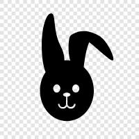 rabbit, pet, animal, cute icon svg