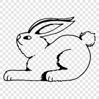 rabbit, pet, animal, cute icon svg