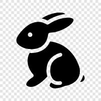 rabbit, easter, spring, holiday icon svg