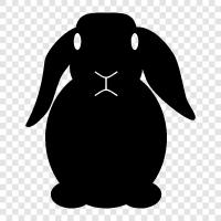 rabbit, pet, house, cute icon svg