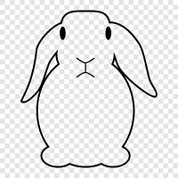 rabbit, pet, cute, cuddly icon svg