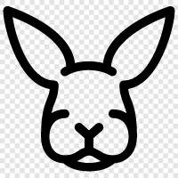 Rabbit food, Rabbit meat, Rabbit fur, Rabbit breeding icon svg