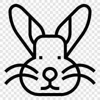 rabbit hole, bunny, Easter, baby rabbit icon svg
