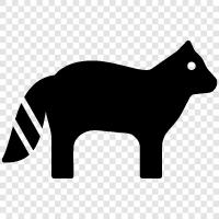 raccoon, animals, animal, wildlife icon svg