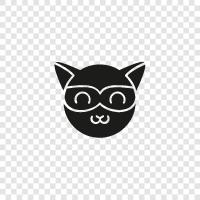 raccoon, wildlife, animal, cute icon svg