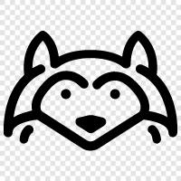 raccoon, feeding, hunting, scavenging icon svg