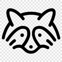 raccoon, raccoons, wildlife, animal icon svg