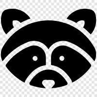 raccoon, animal, behavior, ecology icon svg