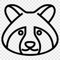 raccoon, wild animal, animal, animal behavior icon svg