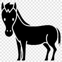 Rennsport, Sattel, Reiten, Pferderanch symbol