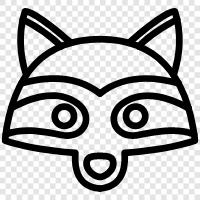 racoons, animals, mammals, wildlife icon svg