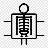 radiographie, bildgebung, krebs, diagnostik symbol