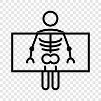 radiography, image, photograph, picture icon svg