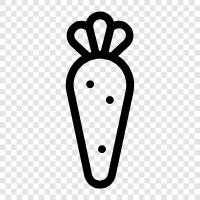 radish, Japanese radish, white radish, daikon rad icon svg