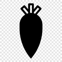 radish root, root, edible root, vegetable icon svg