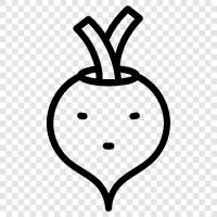 Radieschenwurzel, Radieschenpflanze, Radieschensamen, Radieschengesundheit symbol